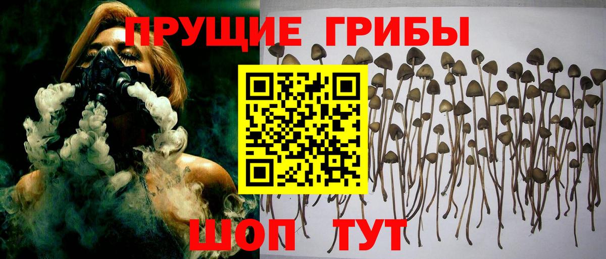 Галлюциногенные грибы ЛСД  Псилоцибиновые грибы MAGIC MUSHROOMS  цена наркотик  Лянтор  Вход с VPN 
